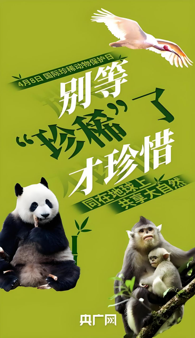 明星新作
